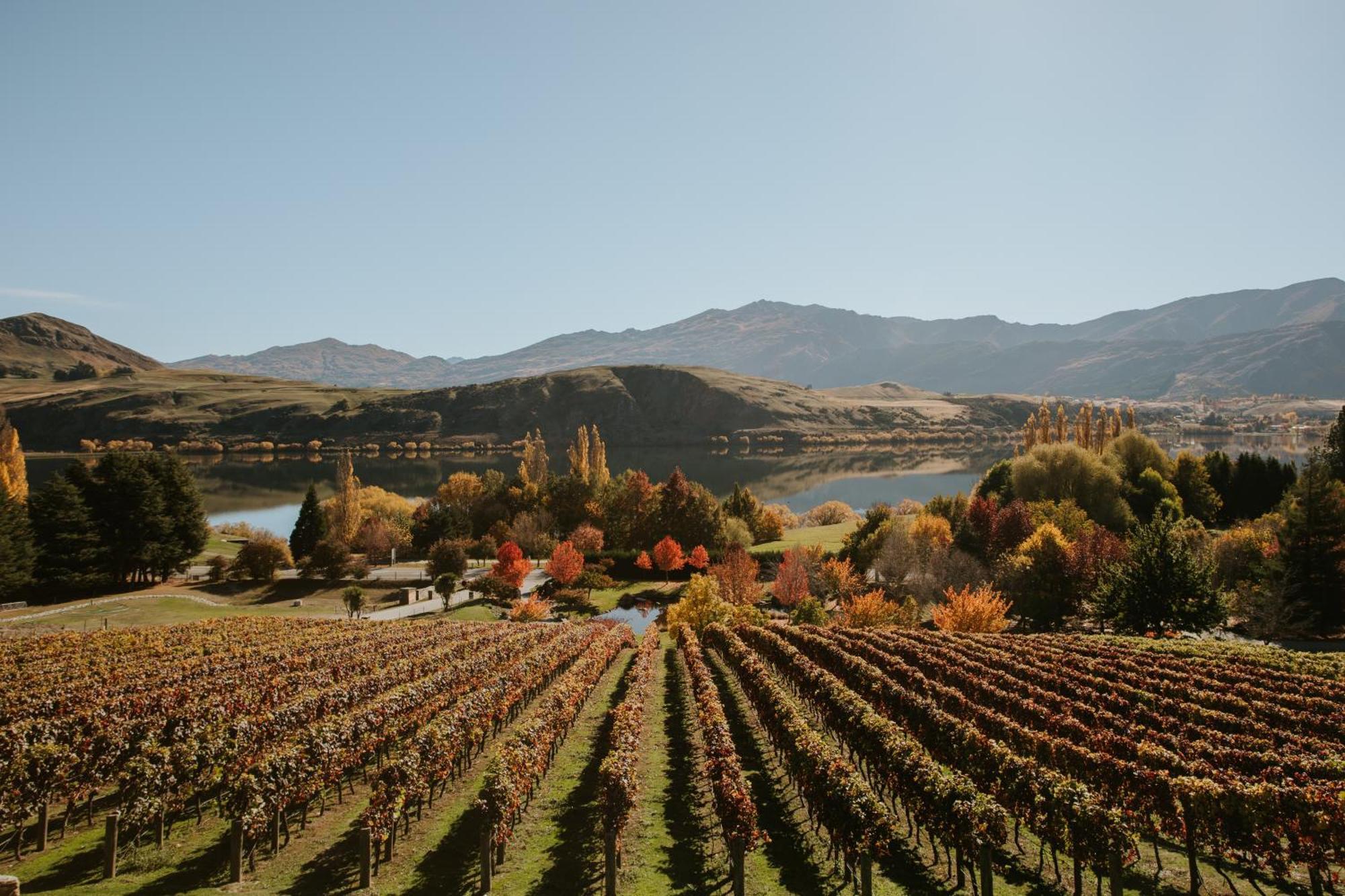 Stoneridge Estate Hotel Queenstown Ngoại thất bức ảnh